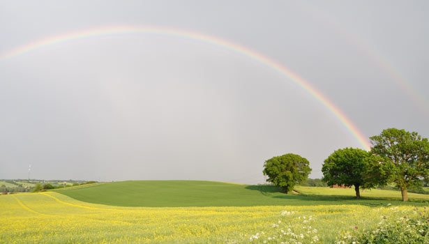 A rainbow over fields near Great Henny, Stour Valley